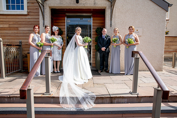 cbwed141