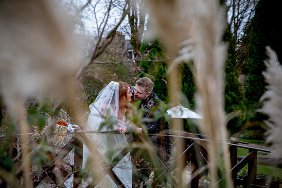 cbwed_474