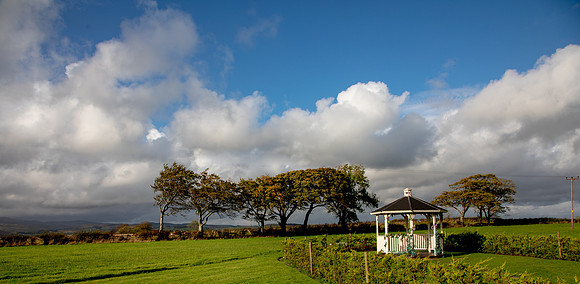 Bowfield-SGalvin_06